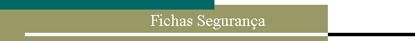 Fichas Seguran�a